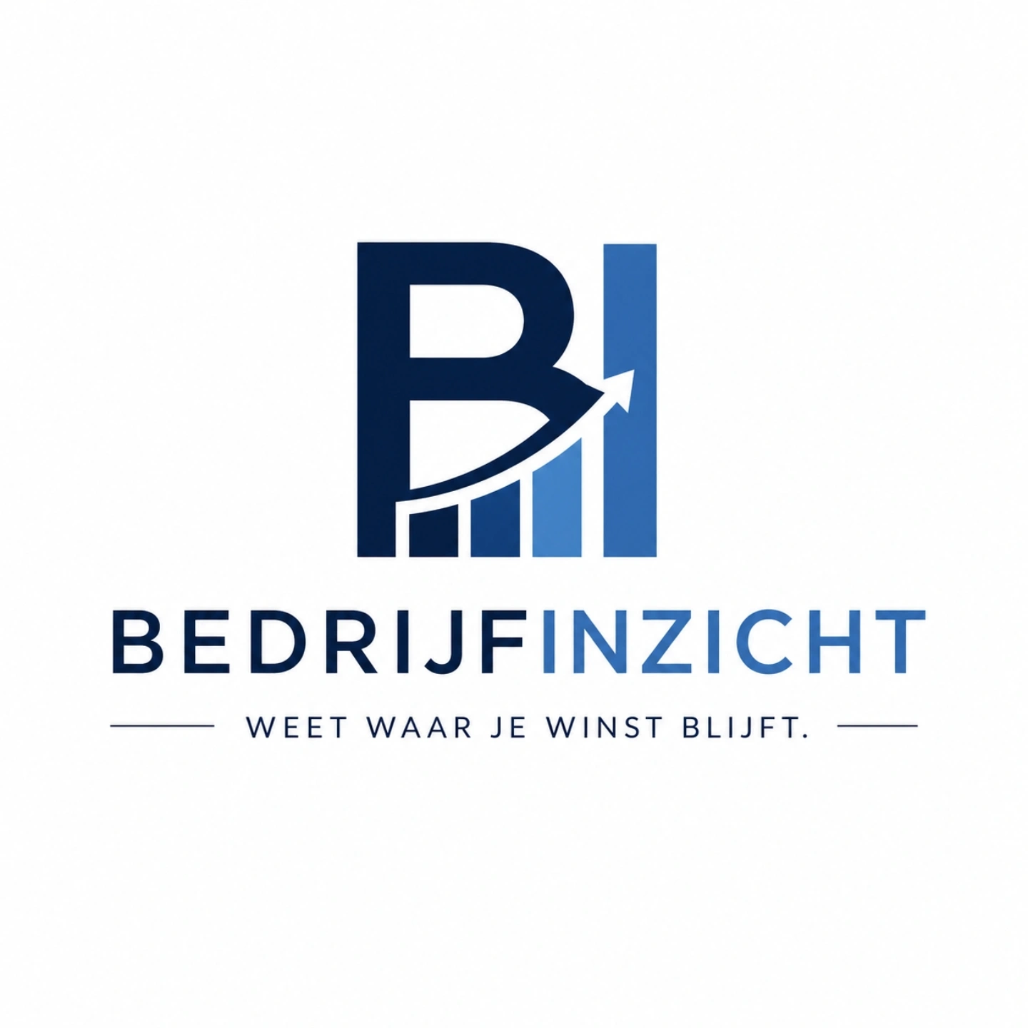 BedrijfInzicht logo